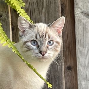 Meet your Posher, Julia